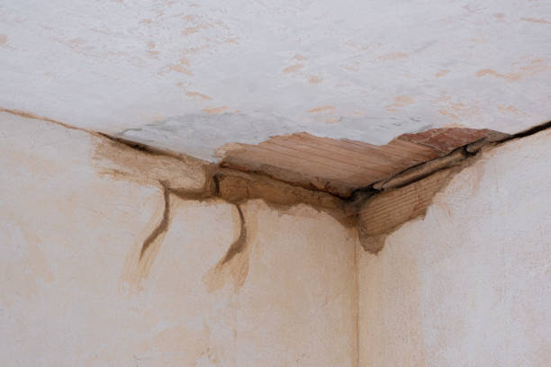 Best Water damage contractors near me  in Vernal, UT