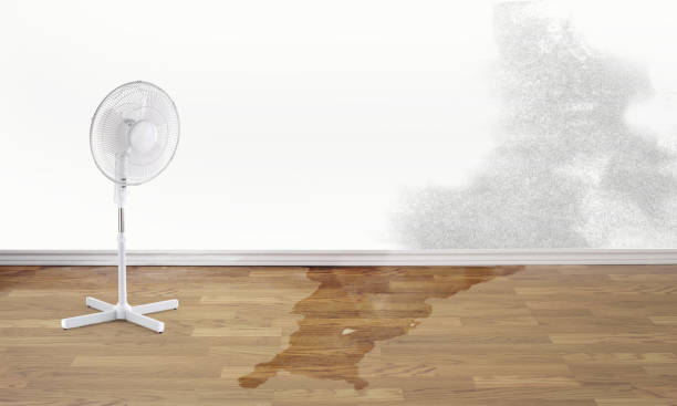 Best 24-hour water damage restoration  in Vernal, UT