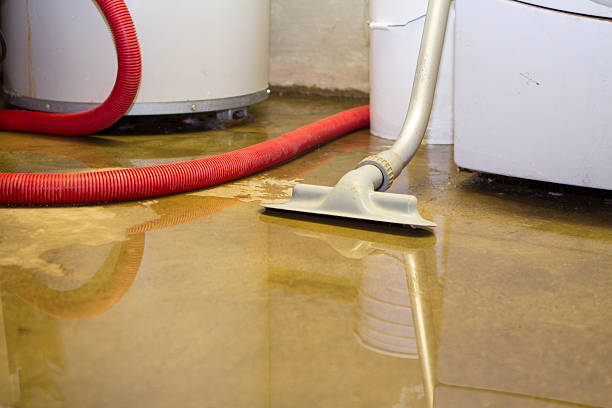 Best Water damage cleanup near me  in Vernal, UT