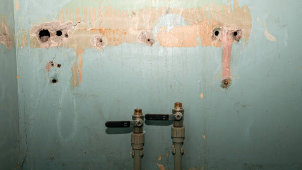 Best Water damage restoration near me  in Vernal, UT