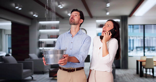 Best Sewage cleanup and water damage restoration  in Vernal, UT